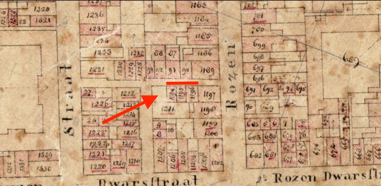 1194 - 1196