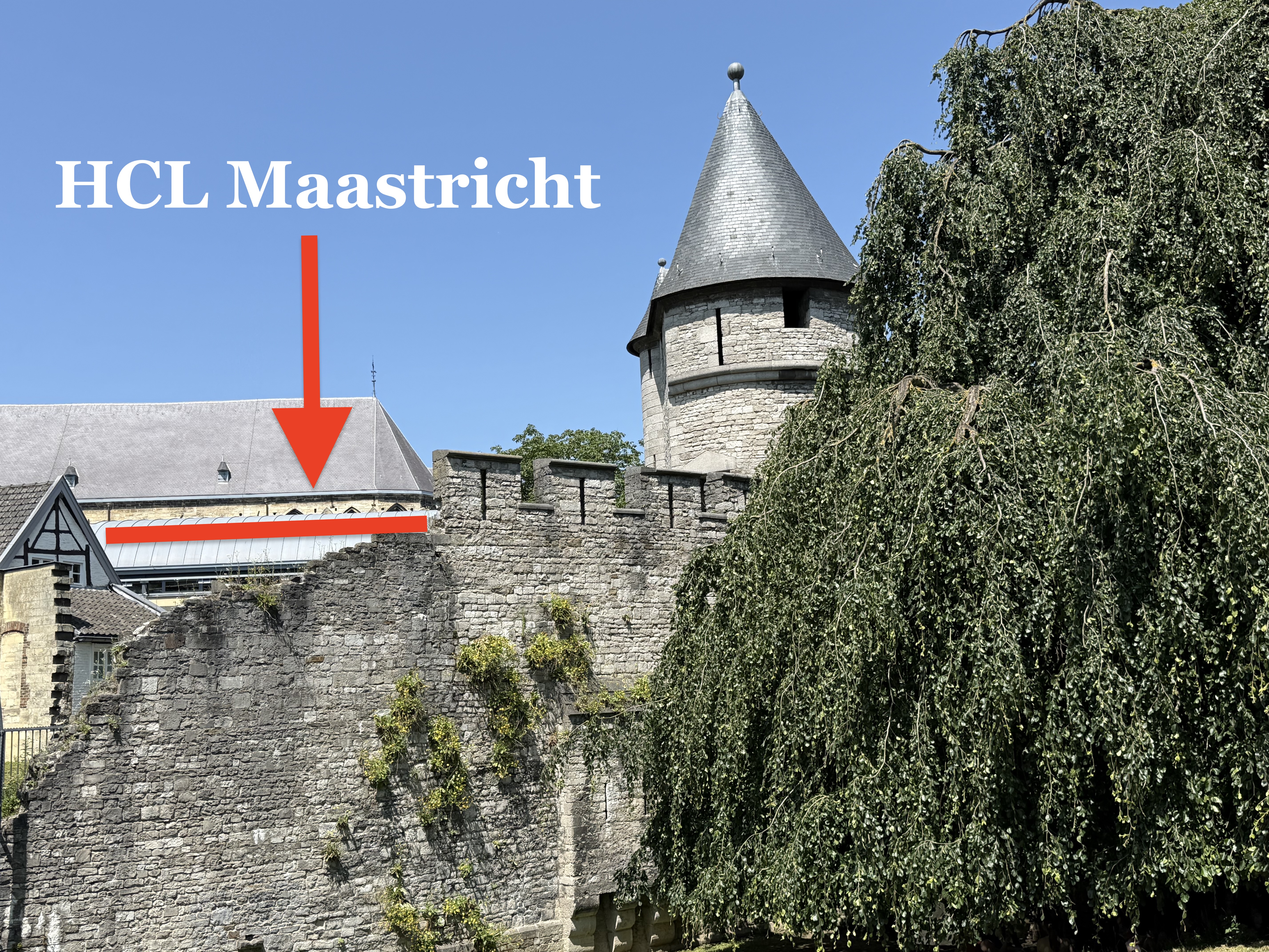 HCL-Maastricht*